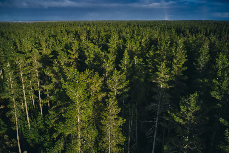 Staxa_PhotoOrd001605-10-21