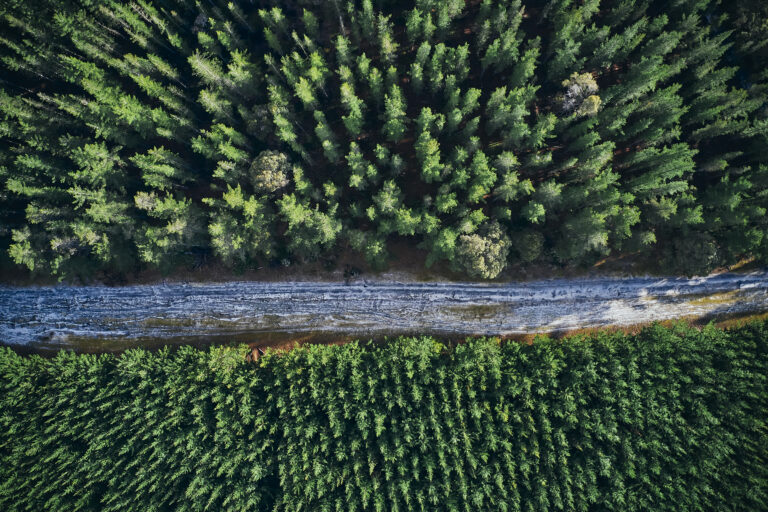 Staxa_PhotoOrd005605-10-21