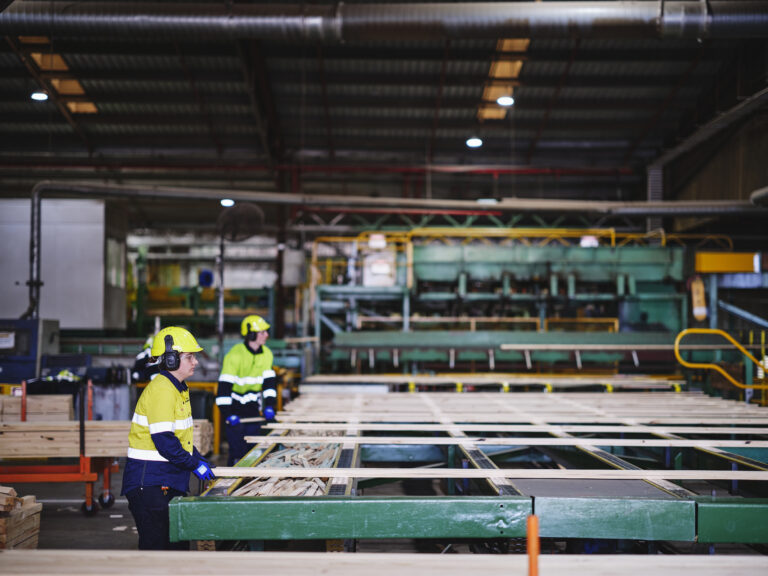 Staxa_PhotoOrd011505-10-21